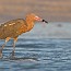 thumbs/IMG_1709.jpg
